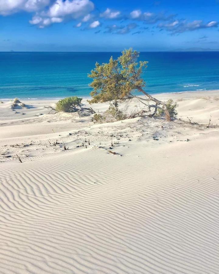 Case Vacanze Il Sogno 2 皮诺港 外观 照片
